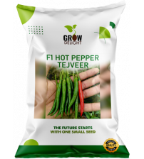 Chilli / Hot Pepper F1 Tejveer 5 grams